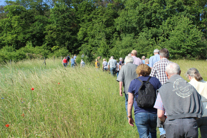 Carers Walk and Talk - Shipley Country Park