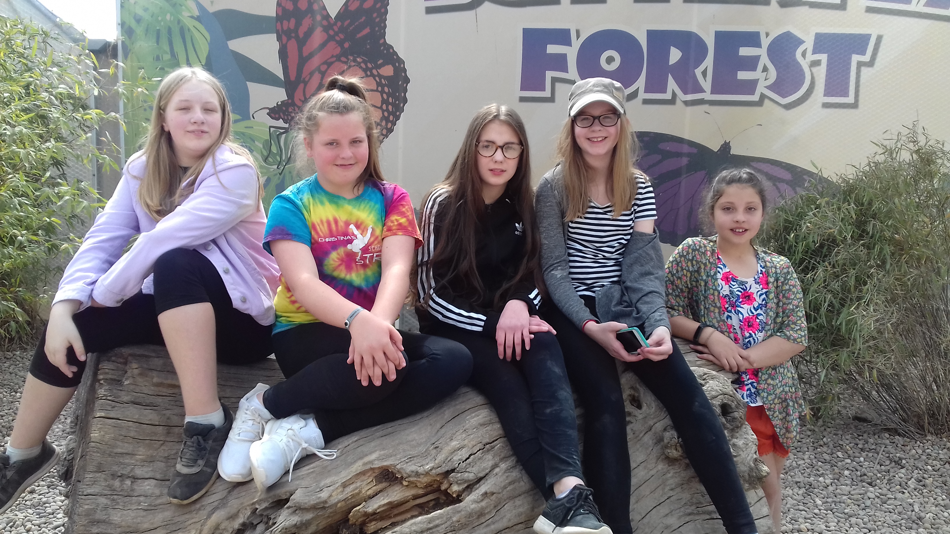 20190423_124944.jpg (2.84 MB)