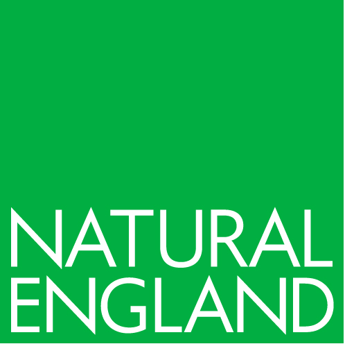 NE-logo.png (50 KB)